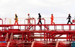 Thuyền viên lo “đói việc” giữa tâm dịch Covid-19