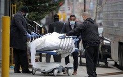 Tin tức 24h mới nhất, nóng nhất ngày hôm nay 2/4