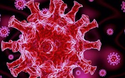 Các nhà khoa học Nga, Việt: Plasma lạnh có thể thay cồn diệt virus Corona