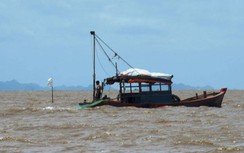 Hải Phòng: Ngư dân đánh bắt hải sản lên bờ bị "thu tô", chính quyền ở đâu?