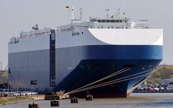 Cảng Hải Phòng gấp rút lên phương án đón tàu Ro-Ro có thuyền trưởng tử vong