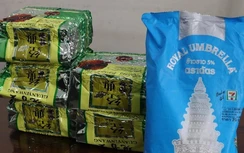 Đánh sập đường dây vận chuyển ma túy số lượng lớn từ Campuchia về Việt Nam