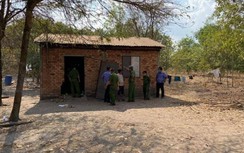 Mượn tiền không được, thanh niên cầm cây đánh mẹ ruột tử vong