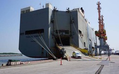 Tàu Ro-Ro có thuyền trưởng tử vong đã cập cảng Tân Vũ sau kiểm dịch