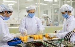 3,3 tỷ người lao động đang chịu tác động bởi dịch Covid-19