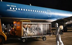 Tư nhân hóa hạ tầng hàng không: Nhìn từ điển hình sân bay Vân Đồn