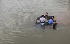 Video: Tài xế ô tô cần làm gì khi đối mặt với "Hà Bá"?