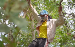 Hoa hậu H'hen Niê mặt mộc trèo cây hái điều, dân mạng quốc tế sửng sốt