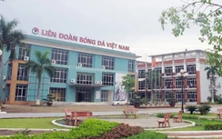 Tin thể thao mới nhất 9/4: VFF sắp có gói cứu trợ khủng?