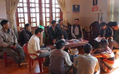 Luật sư nói gì về vụ lừa cà phê hàng trăm tỉ đồng ở Lâm Đồng?