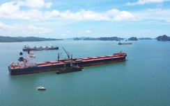 Giảm “kịch sàn” giá hoa tiêu cho DN vận tải biển nội địa giữa bão Covid-19