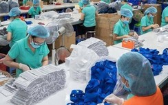 Bỏ mặc đề nghị của Bộ Y tế, DN sản xuất khẩu trang phớt lờ báo giá