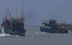 Vi phạm thiết bị giám sát hành trình, 5 tàu cá bị phạt hơn 1,6 tỷ đồng