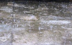 Tin thời tiết hôm nay, 15/4/2020: Tây Nguyên và Nam Bộ đề phòng mưa đá