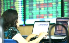 Chứng khoán ngày 15/4: SAB tăng cận trần, VN-Index tiếp tục xanh