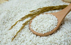 Bộ NN&PTNT kiến nghị tiếp tục cho xuất khẩu gạo nếp