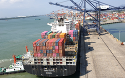 Cảng SSIT đón tàu lớn tuyến dịch vụ đi Bờ Tây Bắc Mỹ giữa “bão” Covid-19