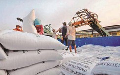 Bộ Công thương thanh minh gì khi bị quy "phớt lờ" góp ý xuất khẩu gạo?