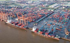 Hàng qua cảng biển vẫn tăng nhẹ bất chấp dịch Covid-19