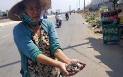 Xác minh, xử nghiêm “đinh tặc” uy hiếp ATGT trên tuyến QL1