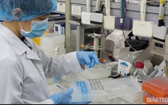 Thực hư thử vaccine BCG ngừa lao cho 800 bác sĩ tuyến đầu chống Covid-19