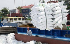 Thủ tướng yêu cầu Thanh tra Chính phủ vào cuộc vụ xuất khẩu gạo