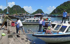 Lo ngại gia tăng ô nhiễm môi trường từ phương tiện thủy