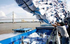 Tạm ứng hạn ngạch 100.000 tấn gạo, cho phép xuất khẩu gạo nếp
