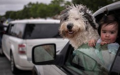 Video: Hàng triệu người Mỹ ngồi trên ô tô và chịu cảnh đói ăn