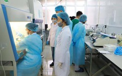 Bí thư Quảng Ninh yêu cầu làm rõ việc mua máy Realtime PCR