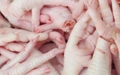 Hải Phòng tìm chủ nhân lô xe hơi, chân gà bị "bỏ quên" ngoài cảng