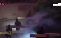 Liên tiếp phát hiện phá rừng quy mô lớn ở Tây Nguyên