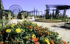 Thỏa cơn khát du hí miền Trung với gói kích cầu lớn từ Sun World Ba Na Hill