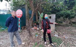 Hy hữu bố kiện con để đòi đất đã bán