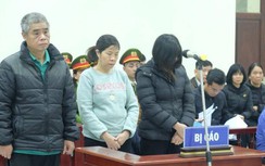 Sắp xử phúc thẩm vụ học sinh lớp 1 trường Gateway tử vong trên xe đưa đón