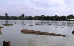 Đồng Nai, Bình Dương chung tay xây cầu Bạch Đằng gần 500 tỷ