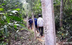 Một người trồng trụ bê tông chắn đường, hàng chục hộ trồng keo "kêu cứu"