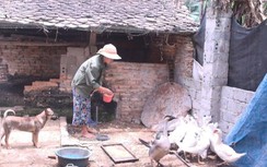 Hàng nghìn hộ dân ở Thanh Hóa tự nguyện không nhận tiền hỗ trợ Covid-19