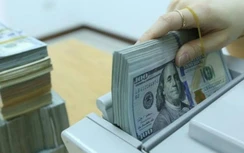 Dự báo tỷ giá ngoại tệ 14/5: USD bật tăng sau động thái của FED