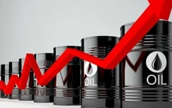 Giá xăng dầu hôm nay 20/5: Bứt tốc cho hợp đồng tương lai