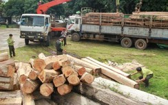 4 đồn biên phòng Gia Lai - Kon Tum có liên quan vụ 5 xe gỗ lậu bị bắt