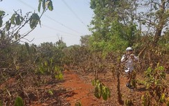 Lãnh đạo tỉnh Gia Lai ra "tối hậu thư" cho Chủ tịch huyện Chư Sê