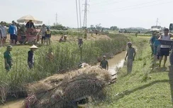 Video tai nạn giao thông ngày 21/5: Người đàn ông bị xe chở lúa đè chết