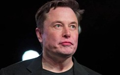 "Nhờ Covid-19", người giàu Mỹ kiếm thêm được hàng trăm tỷ USD