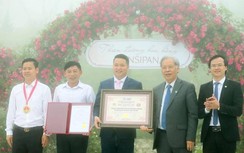 Không phải Đà Lạt, Sa Pa mới có “Thung lũng hoa hồng lớn nhất Việt Nam”