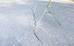 Tổng cục Đường bộ VN nói gì về rạn nứt mặt đường QL91?