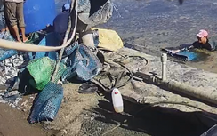 Chủ tịch tỉnh Cà Mau chỉ đạo "nóng" vụ thương lái dàn trận để trộm tôm