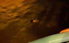 Công an vào cuộc điều tra vụ thi thể nam giới nổi lên mặt Hồ Tây