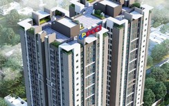 PCC1 Thanh Xuân bị tố thi công ẩu, gây nứt hàng loạt nhà xung quanh