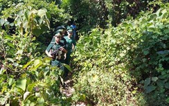Tạm rút chó nghiệp vụ, thay đổi phương án truy bắt Triệu Quân Sự